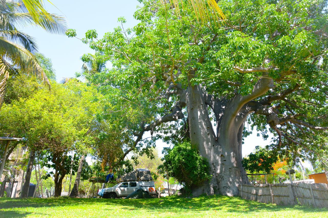 Baobab Beach Виланкулос Екстериор снимка